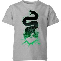 Harry Potter Basilisk Silhouette Kids' T-Shirt - Grey - 3-4 Years, Gray
Harry Potter Basilisk Silhouette Kids' T-Shirt - Grey - 3-4 Years, Gray