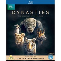 Dynasties
Dynasties