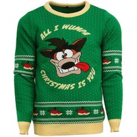 Crash Bandicoot Christmas Jumper - Green - L
Crash Bandicoot Christmas Jumper - Green - L