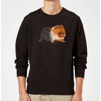 Fantastic Beasts Tribal Baby Niffler Sweatshirt - Black - L
Fantastic Beasts Tribal Baby Niffler Sweatshirt - Black - L