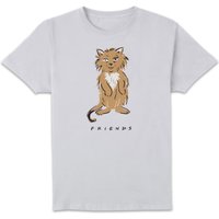 Friends Smelly Cat Men's T-Shirt - White - XL
Friends Smelly Cat Men's T-Shirt - White - XL