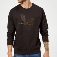 Harry Potter Hedwig Broom Gold Sweatshirt - Black - L
Harry Potter Hedwig Broom Gold Sweatshirt - Black - L