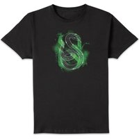 Harry Potter Slytherin Geometric Men's T-Shirt - Black - M
Harry Potter Slytherin Geometric Men's T-Shirt - Black - M