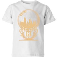Harry Potter Hogwarts Snowglobe Kids' T-Shirt - White - 9-10 Years
Harry Potter Hogwarts Snowglobe Kids' T-Shirt - White - 9-10 Years