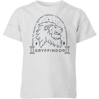 Harry Potter Gryffindor Linework Kids' T-Shirt - Grey - 9-10 Years - Grey
Harry Potter Gryffindor Linework Kids' T-Shirt - Grey - 9-10 Years - Grey