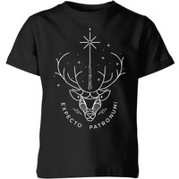 Harry Potter Expecto Patronum Kids' T-Shirt - Black - 7-8 Years - Black
Harry Potter Expecto Patronum Kids' T-Shirt - Black - 7-8 Years - Black