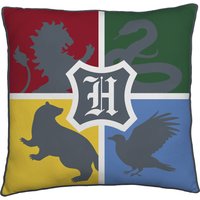 Harry Potter Alumni Square Cushion
Harry Potter Alumni Square Cushion