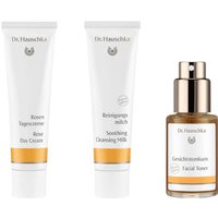 Набор по уходу за кожей Dr. Hauschka Radiant Rose Set, 3 средства по 30мл
Набор по уходу за кожей Dr. Hauschka Radiant Rose Set, 3 средства по 30мл