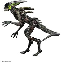 NECA Official Aliens Fireteam Elite Spitter Alien - 7 Scale Action Figurine
NECA Official Aliens Fireteam Elite Spitter Alien - 7 Scale Action Figurine