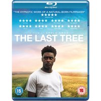 The Last Tree
The Last Tree