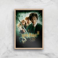 Harry Potter and the Chamber Of Secrets Giclee Art Print - A2 - Wooden Frame, Multi
Harry Potter and the Chamber Of Secrets Giclee Art Print - A2 - Wooden Frame, Multi