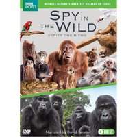 Spy in the Wild: Series 1-2
Spy in the Wild: Series 1-2