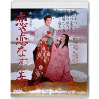 The Mad Fox
The Mad Fox