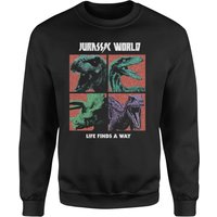 Jurassic Park World Four Colour Faces Sweatshirt - Black - XL
Jurassic Park World Four Colour Faces Sweatshirt - Black - XL