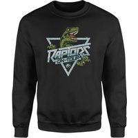 Jurassic Park Raptors On Tour Stroke Sweatshirt - Black - XXL
Jurassic Park Raptors On Tour Stroke Sweatshirt - Black - XXL