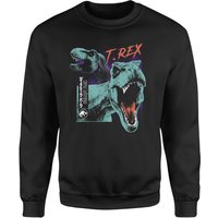 Jurassic Park T-REXES Sweatshirt - Black - XL
Jurassic Park T-REXES Sweatshirt - Black - XL