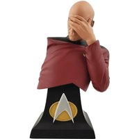 Icon Heroes Star Trek: TNG Picard Facepalm Limited Edition Bust Statue - SDCC Exclusive
Icon Heroes Star Trek: TNG Picard Facepalm Limited Edition Bust Statue - SDCC Exclusive