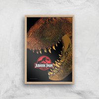Jurassic Park Giclee Art Print - A4 - Wooden Frame, Multi
Jurassic Park Giclee Art Print - A4 - Wooden Frame, Multi