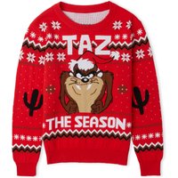 Taz the Season Christmas Kids Knitted Jumper Red - S
Taz the Season Christmas Kids Knitted Jumper Red - S