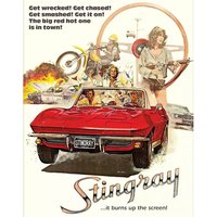 Stingray - Director's Cut
Stingray - Director's Cut
