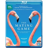 The Mating Game BD
The Mating Game BD