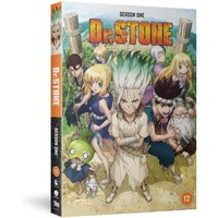Dr. StoneSeason 1 Complete
Dr. StoneSeason 1 Complete