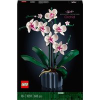 LEGO Icons Orchid Plant & Flowers Set for Adults (10311)
LEGO Icons Orchid Plant & Flowers Set for Adults (10311)
