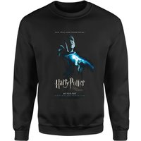Harry Potter Order Of The Phoenix Sweatshirt - Black - M
Harry Potter Order Of The Phoenix Sweatshirt - Black - M