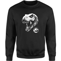Jurassic Park T Rex Sweatshirt - Black - S
Jurassic Park T Rex Sweatshirt - Black - S
