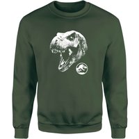 Jurassic Park T Rex Sweatshirt - Green - XL
Jurassic Park T Rex Sweatshirt - Green - XL