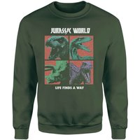 Jurassic Park World Four Colour Faces Sweatshirt - Green - XXL
Jurassic Park World Four Colour Faces Sweatshirt - Green - XXL
