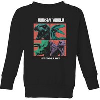 Jurassic Park World Four Colour Faces Kids' Sweatshirt - Black - 3-4 Years
Jurassic Park World Four Colour Faces Kids' Sweatshirt - Black - 3-4 Years