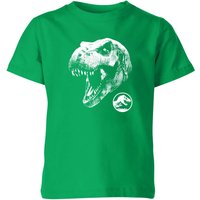 Jurassic Park T Rex Kids' T-Shirt - Green - 9-10 Years
Jurassic Park T Rex Kids' T-Shirt - Green - 9-10 Years