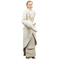 Hasbro Star Wars The Black Series Senator Mon Mothma Action Figure
Hasbro Star Wars The Black Series Senator Mon Mothma Action Figure