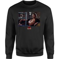 Jurassic Park Jeff Goldblum Sweatshirt - Black - XXL
Jurassic Park Jeff Goldblum Sweatshirt - Black - XXL