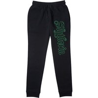 Harry Potter Slytherin Script Joggers - Black - L
Harry Potter Slytherin Script Joggers - Black - L