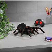 RC Tarantula
RC Tarantula