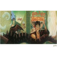Harry Potter & the Goblet of Fire Book Cover Artwork Limited Edition Art Print
Harry Potter & the Goblet of Fire Book Cover Artwork Limited Edition Art Print
