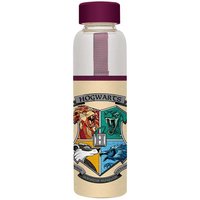 Harry Potter Glass Bottle
Harry Potter Glass Bottle