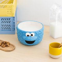 Sesame Street Bowl
Sesame Street Bowl