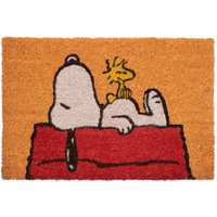 Doormat Snoopy
Doormat Snoopy