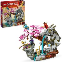 LEGO NINJAGO Dragon Stone Shrine Buildable Model 71819
LEGO NINJAGO Dragon Stone Shrine Buildable Model 71819