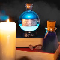 Harry Potter Potion Lamp - Small
Harry Potter Potion Lamp - Small