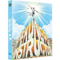 The Kung Fu Instructor
The Kung Fu Instructor