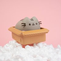 Pusheen Piggy Bank
Pusheen Piggy Bank