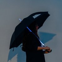 Star Wars Luke Skywalker Premium Umbrella
Star Wars Luke Skywalker Premium Umbrella