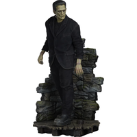 Sideshow Frankenstein Premium Format Figure - Fabric Costuming
Sideshow Frankenstein Premium Format Figure - Fabric Costuming