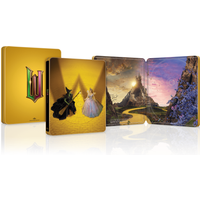 Wicked: For Good 4K Ultra HD SteelBook Version 2
Wicked: For Good 4K Ultra HD SteelBook Version 2