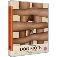 Dogtooth
Dogtooth