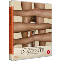 Dogtooth
Dogtooth